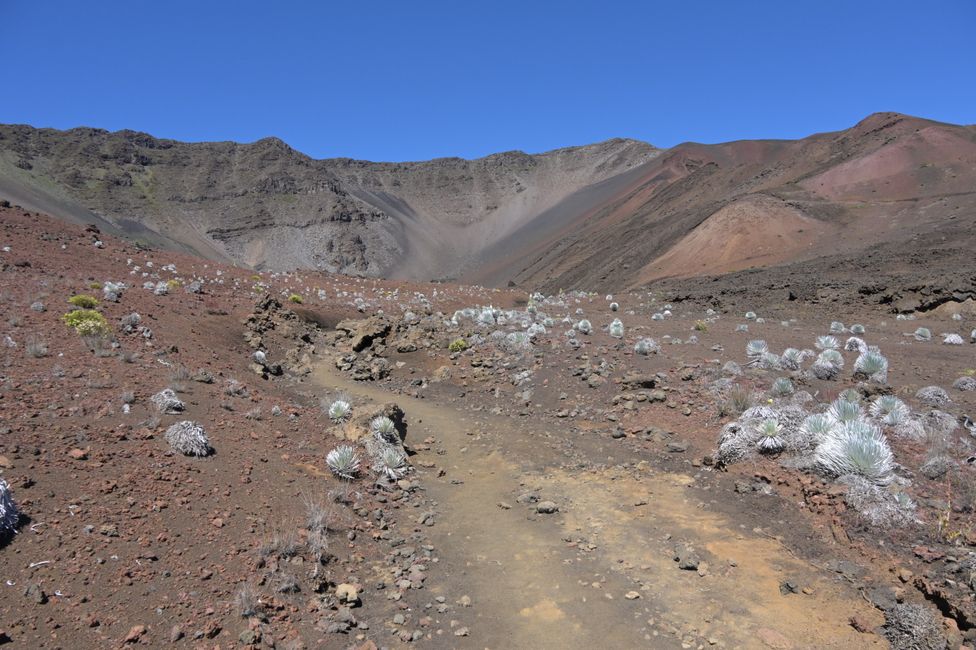 Volcan Haleakala - Randonnée dans le cratère