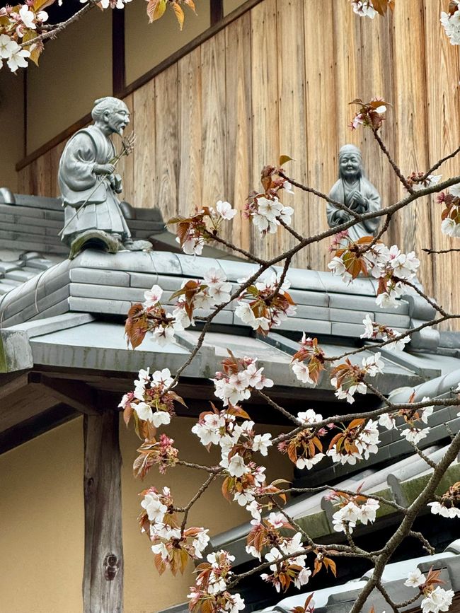Part 8 Japan 🇯🇵 Kanazawa