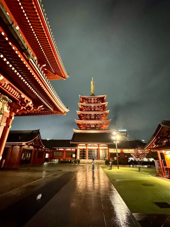 Parte 7
BENVENUTO IN GIAPPONE 🇯🇵
TOKYO