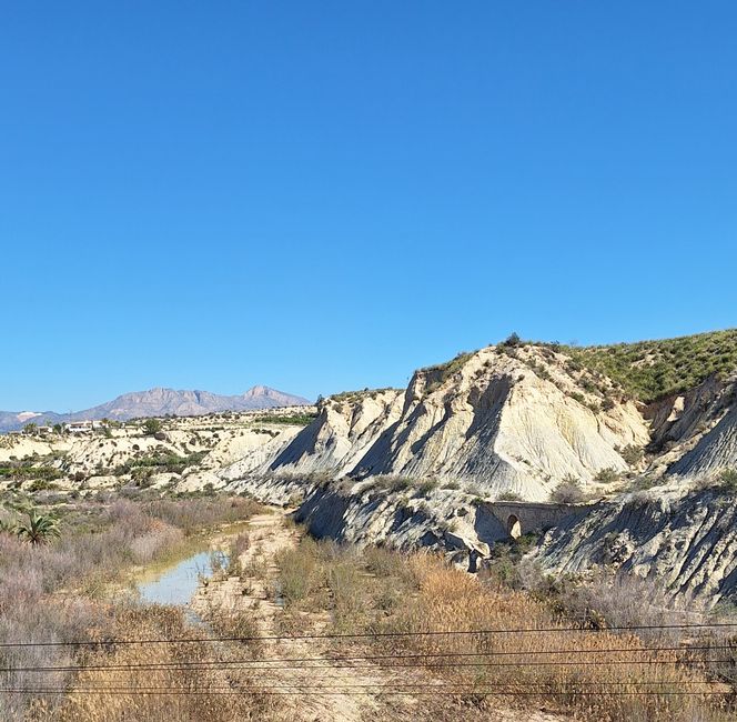 Ausgetrocknetes Flussbett