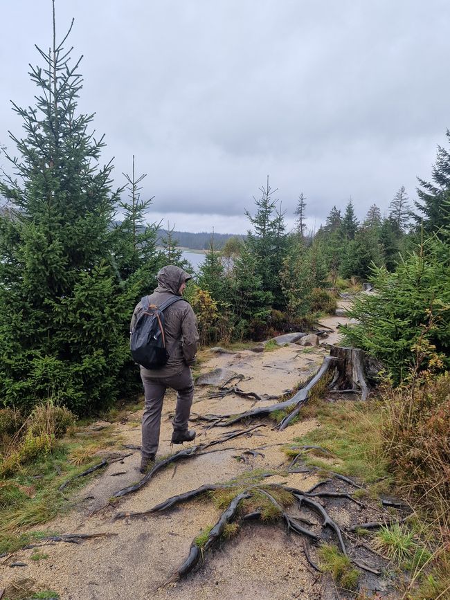 Breve viaggio nel Harz