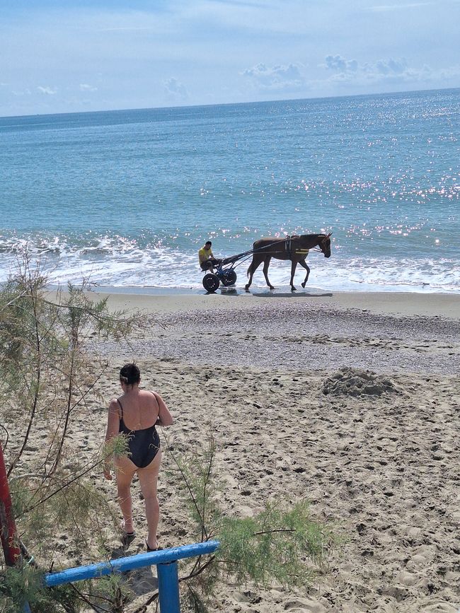 Am Strand 