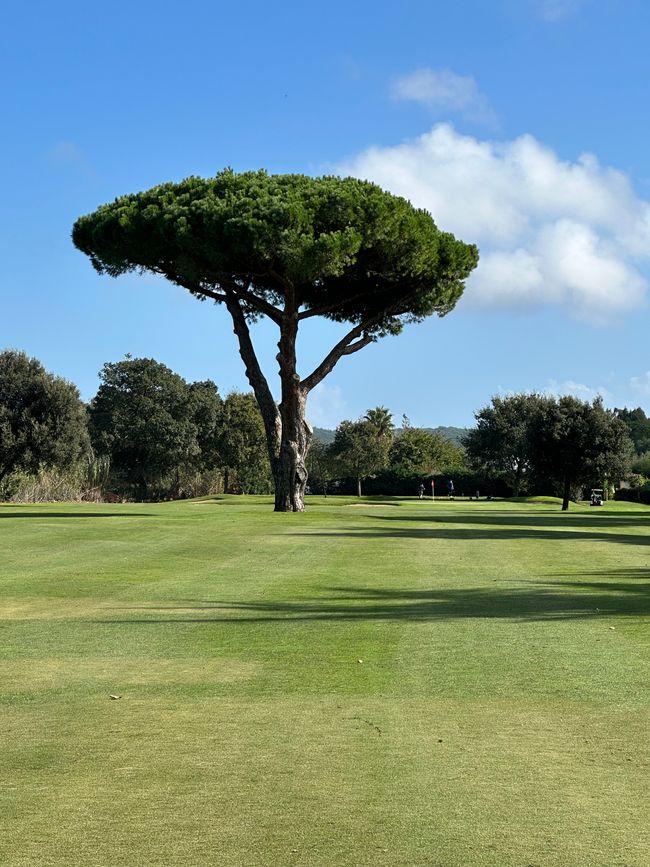 Golfturnier 3. Tag, Golf Costa Brava