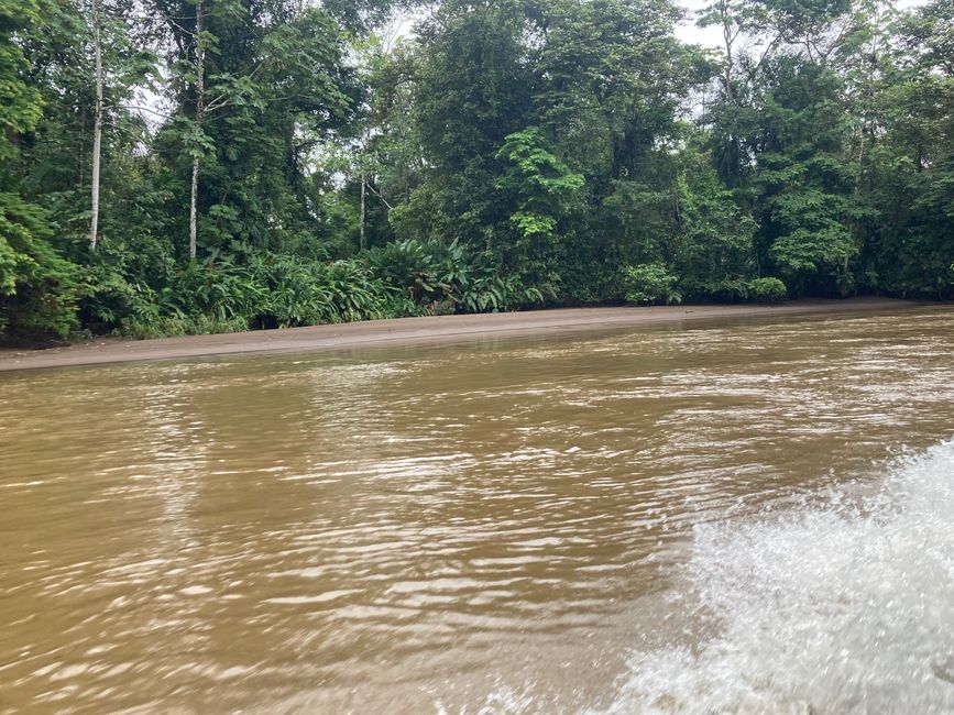 Tortuguero