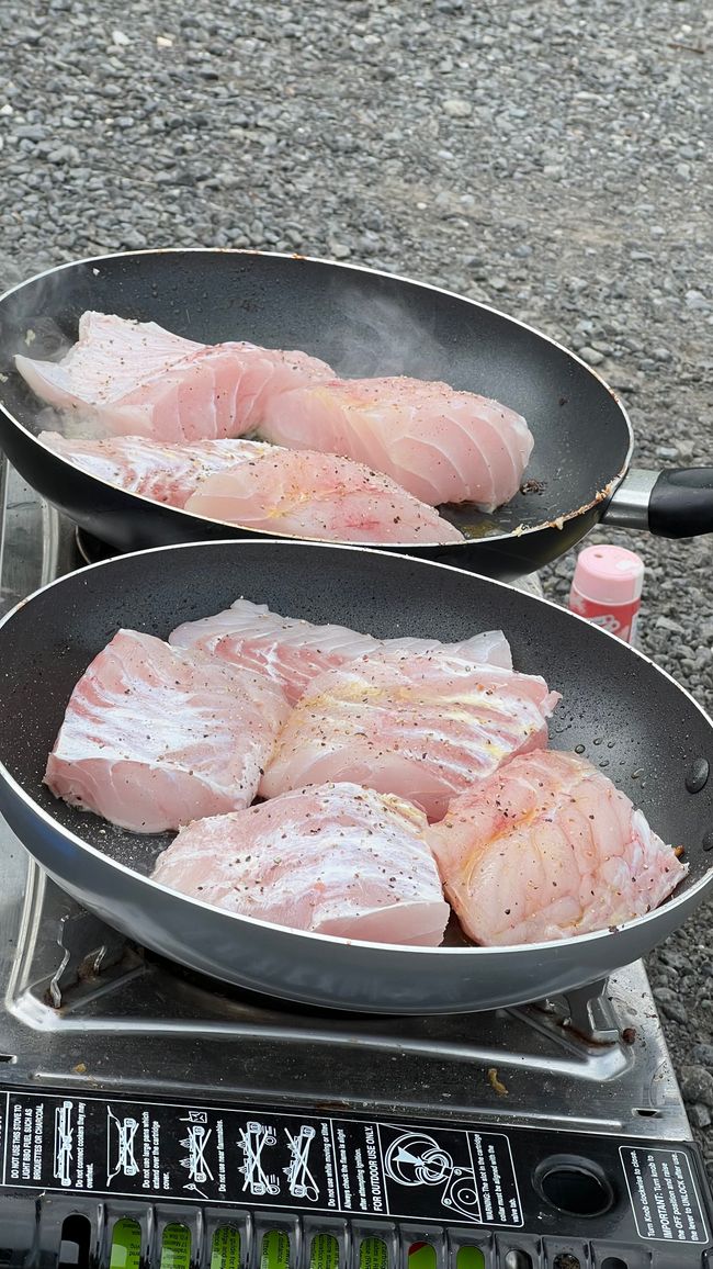 Lecker Fisch, frischer geht nicht!