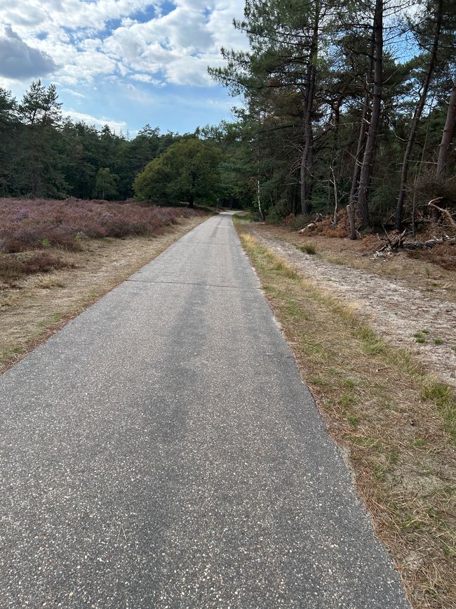 Tag 2: Sevenum - Sprang-Capelle Teil 3