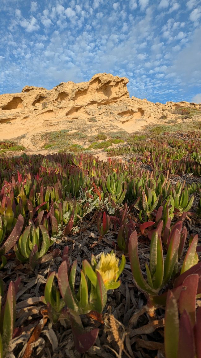 Tag 2: Inseltour auf Porto Santo