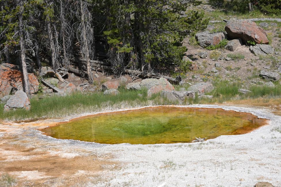 Bassin supérieur des geysers
