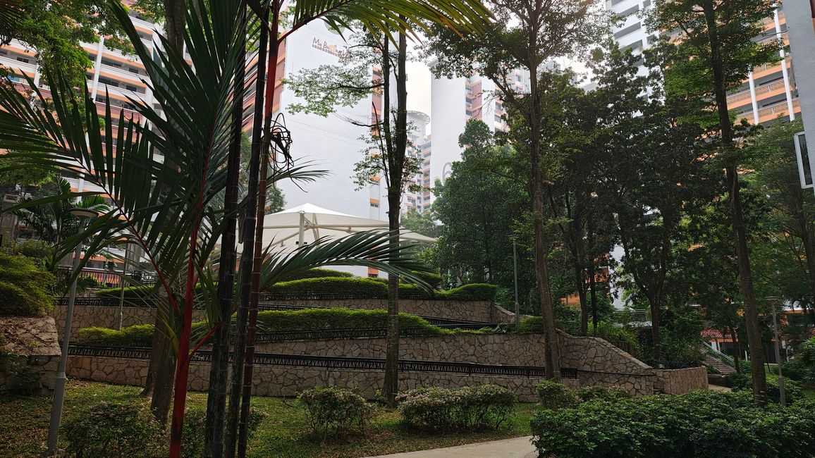 Habiter de manière naturelle et harmonieuse à Singapour