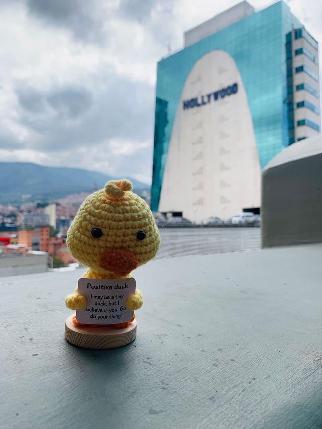 Daisy Duck gefällt Medellìn besser als Cali. 🐥
