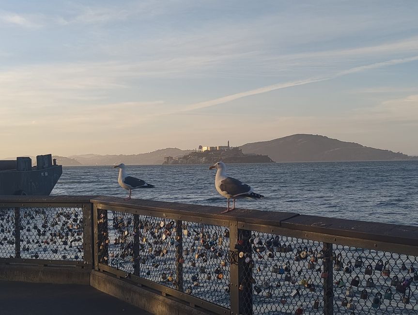 USA West Coast Roadtrip - Tag 7