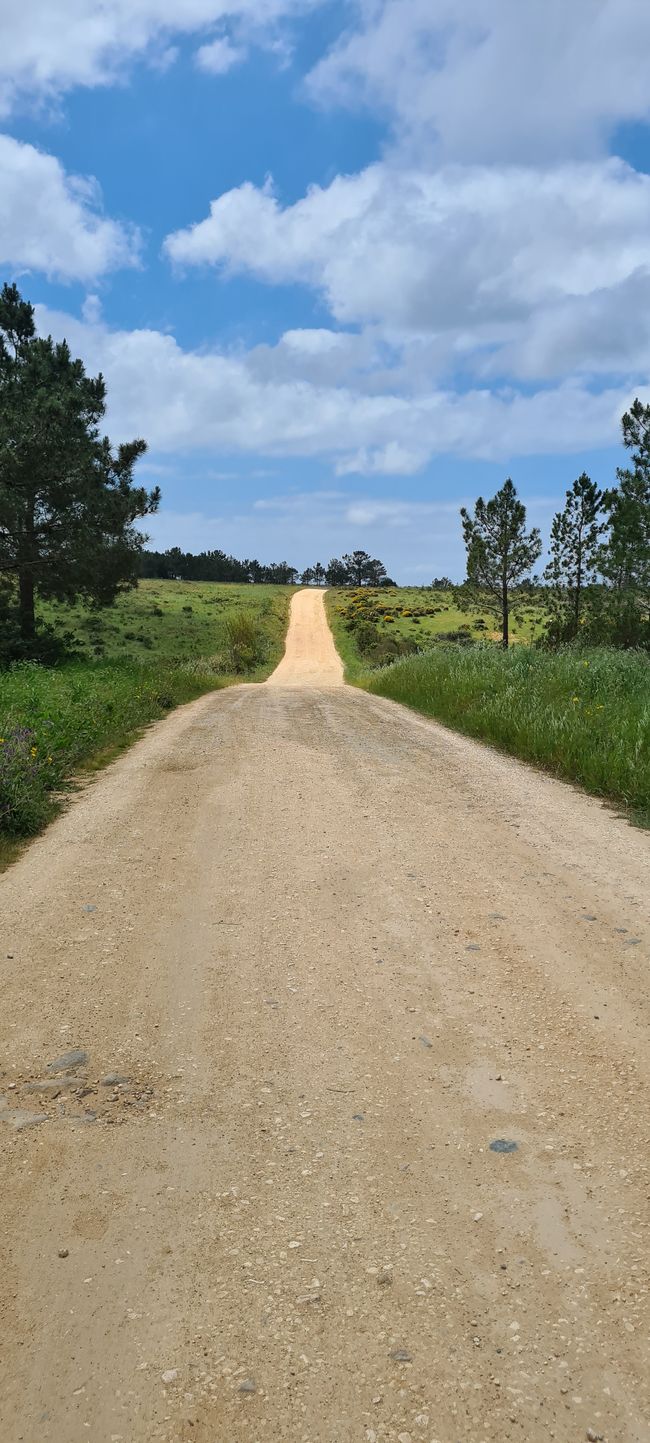 6. Etapa Praia de Odeceixe - Monte Clerigo