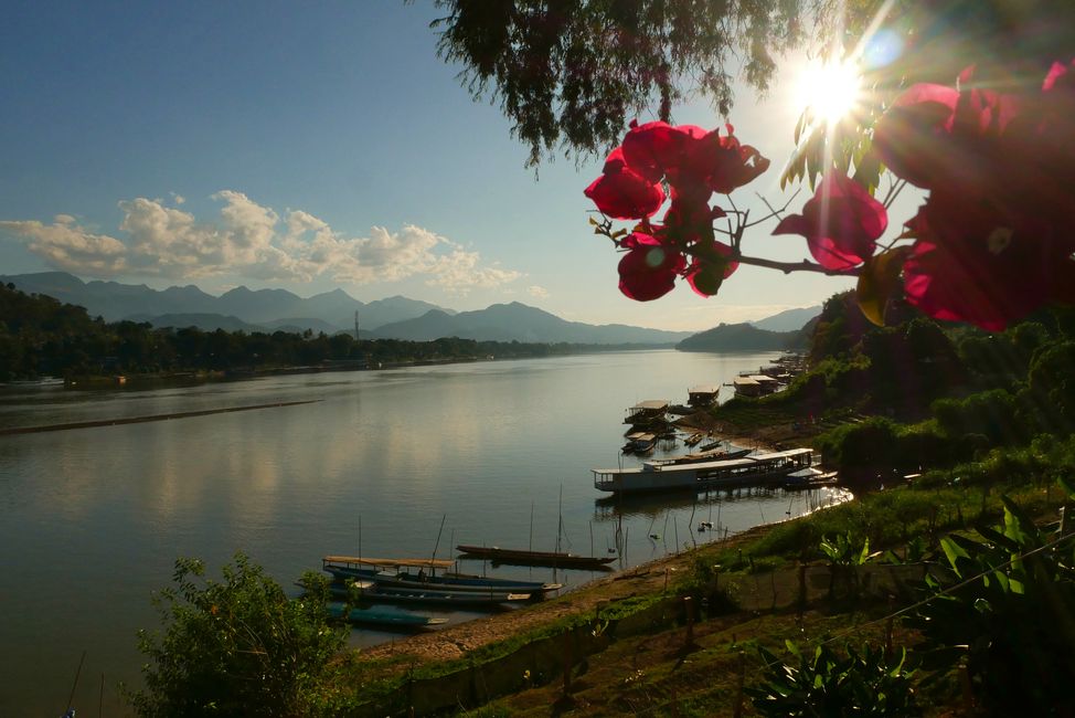 Zuhause auf Probe – unser Zurückkommen nach Laos
