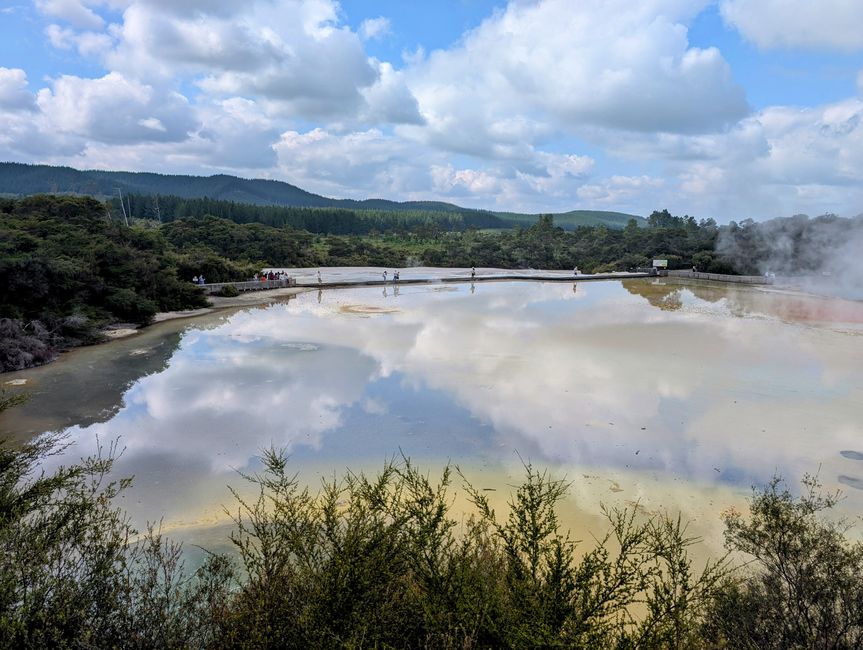 Wai-o-Tapo & Lake Aniwhenura: Ein Tag voller E
