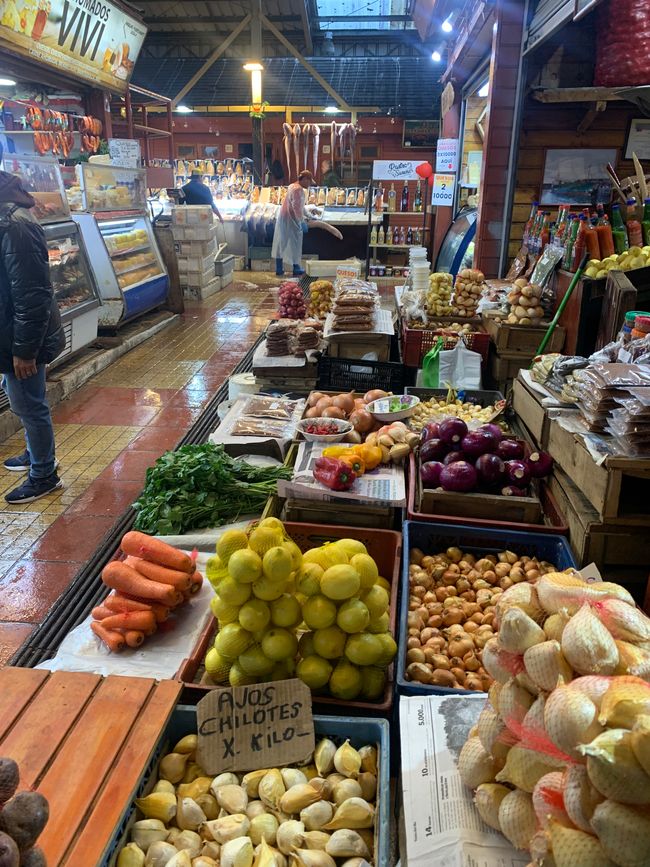 Trip nach Patagonien Teil 2: Puerto Montt bis Hornopirén