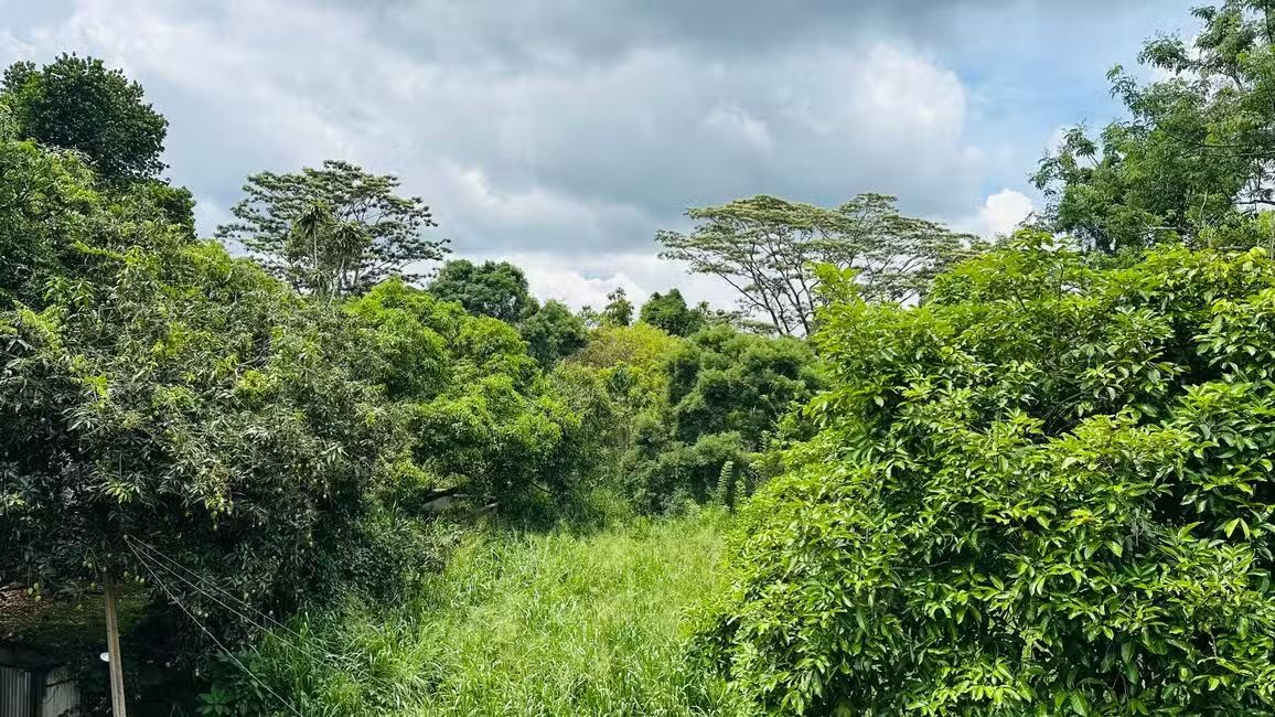 Partire per lo Sri Lanka