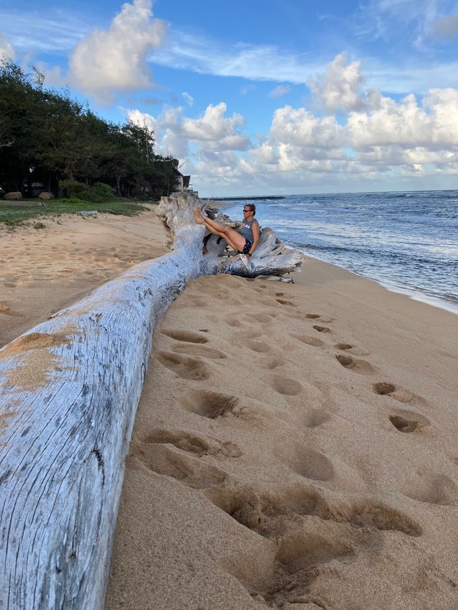 Relaxing in the roots