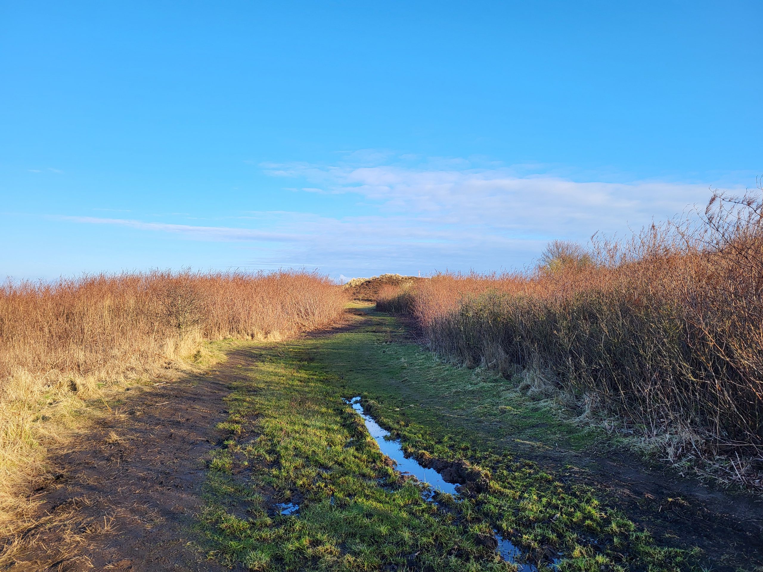 Morsum Cliff - muddy path