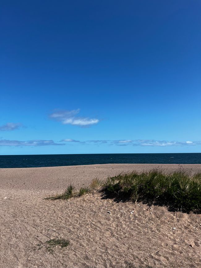 Plage sauvage