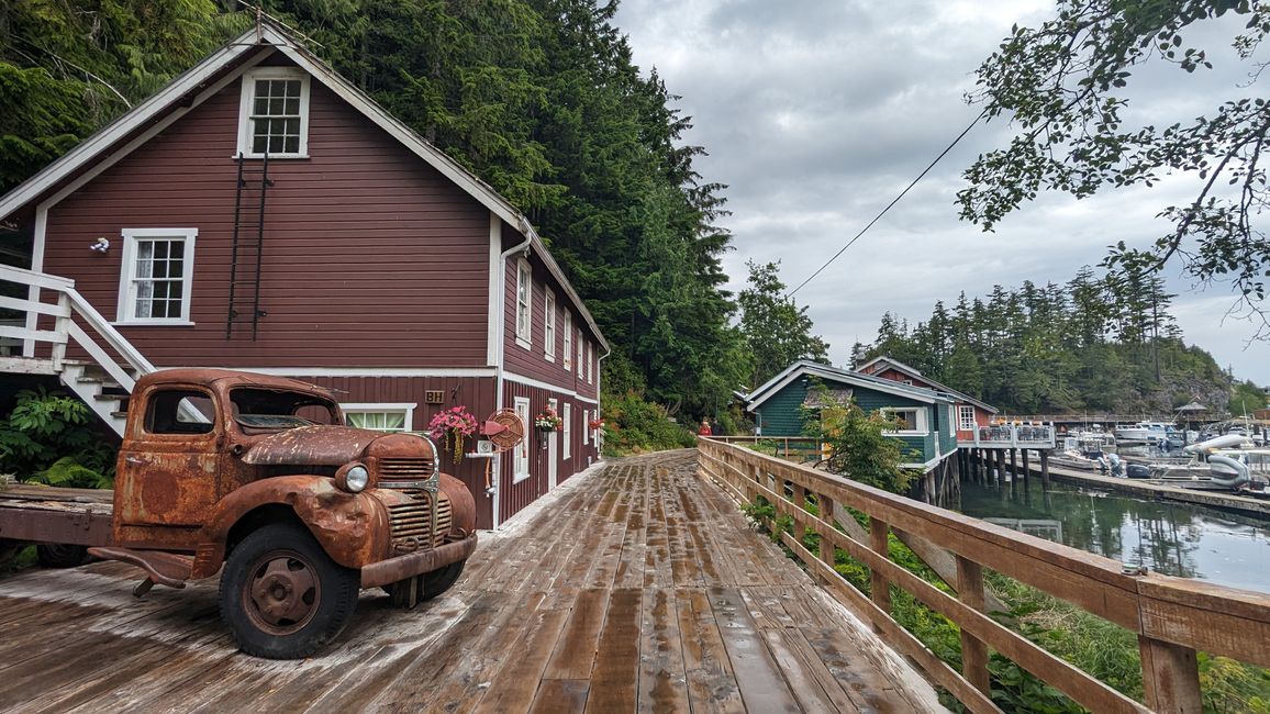 Day 11: Strathcona PP - Telegraph Cove - Alder Bay