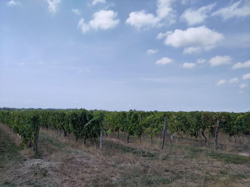 Das Château Marquis de Vauban und die Zitadelle von Blaye