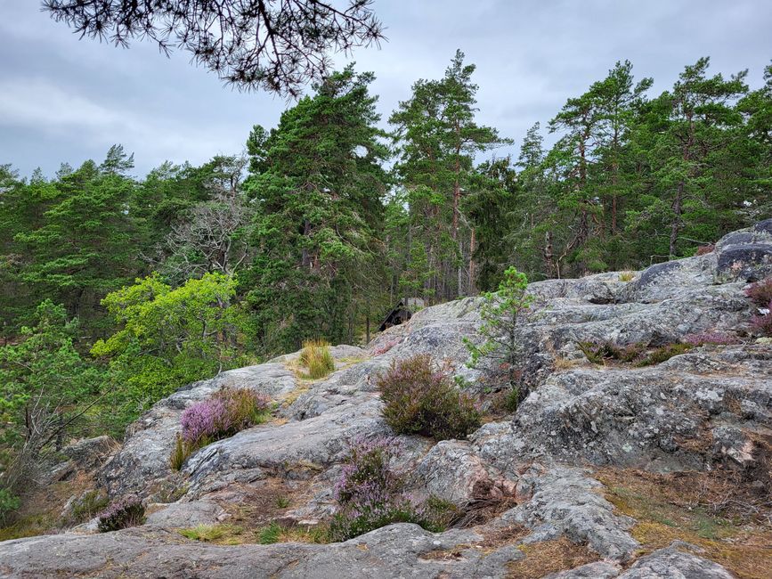 Naturschutzgebiet Stendörren