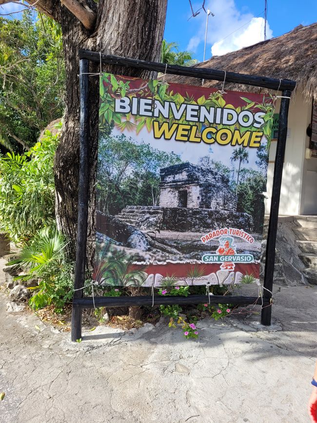 Día 29 de 175: Crucero alrededor del mundo - Cozumel/México