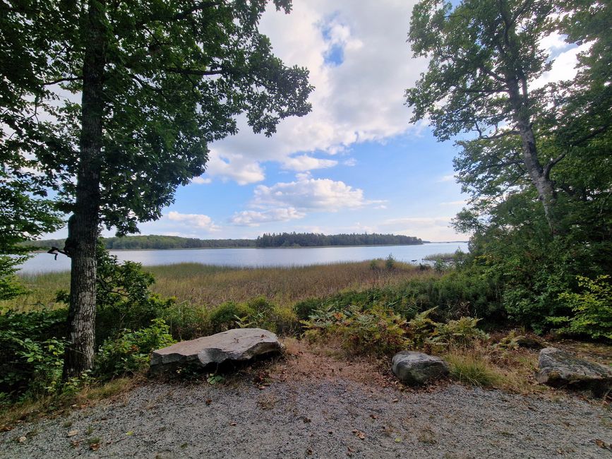 Schweden 7. Tag - Biltema, Asnen Nationalpark
