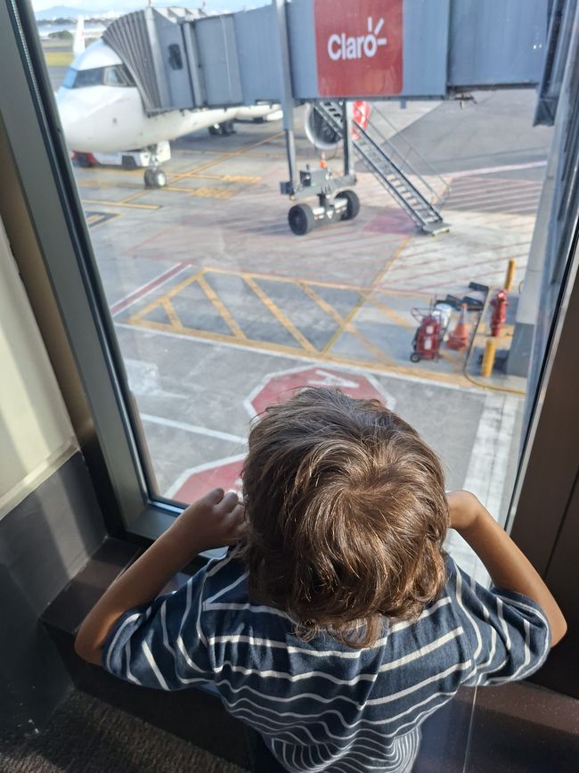 Ofri busca a Toto desde la pasarela del avión