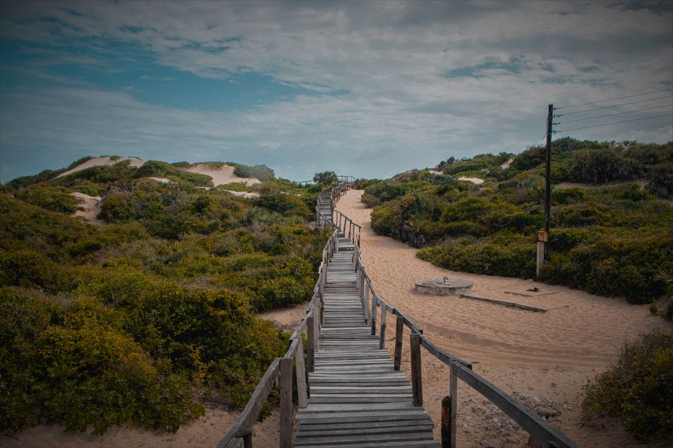 Stairway 2 the Sea - Lamu  Island