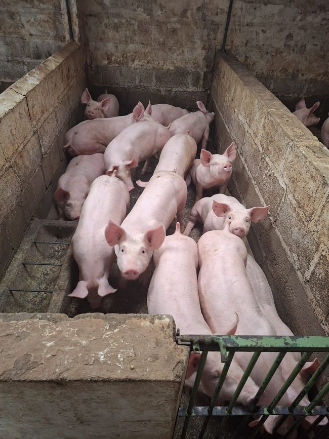 La ferme d'Esteban
