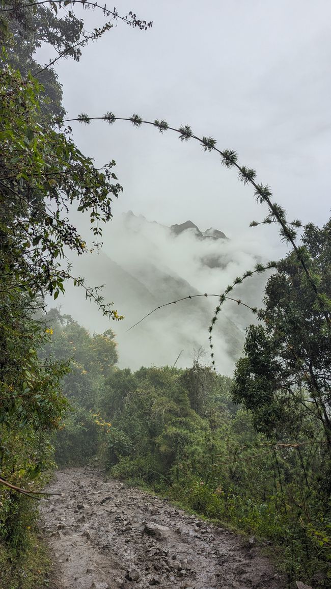 Dritter Tag im Regen