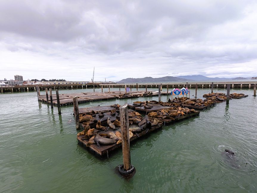 SFO - Fisherman's Warf