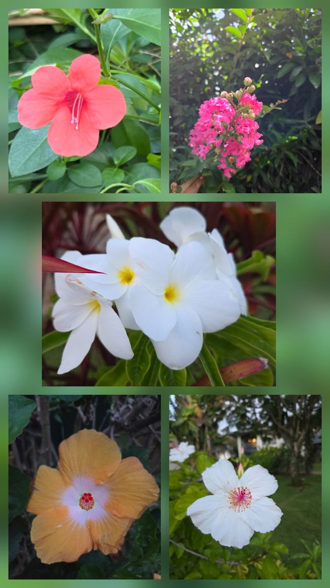 Blumen