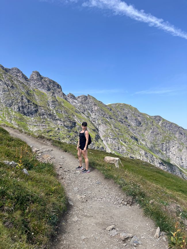 Ein See hat gereicht