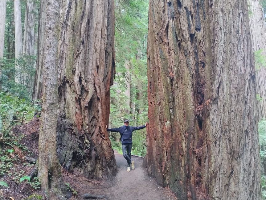 USA West Coast Roadtrip - Tag 6