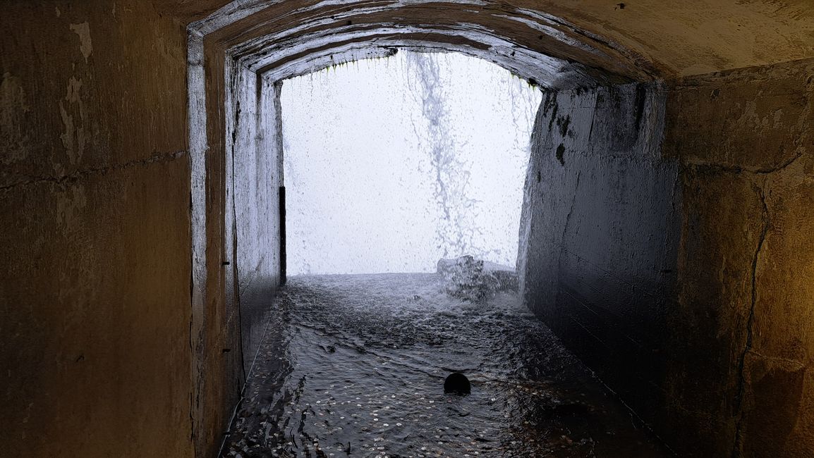 Hinter den Fällen