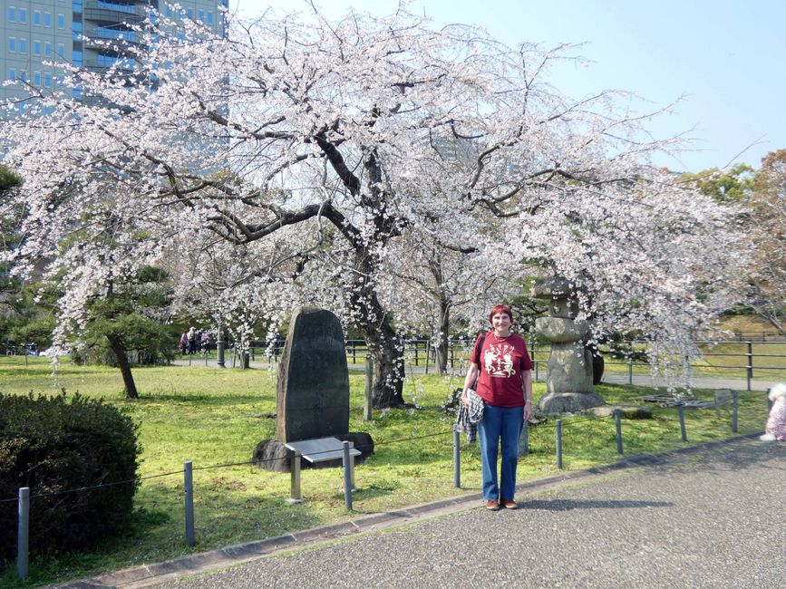 Sumpu Castle Park
