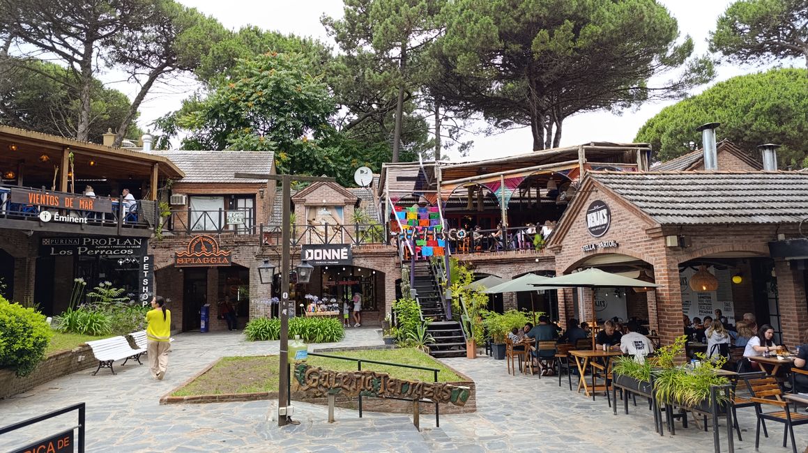 Villa Gesell (Natale_2024)