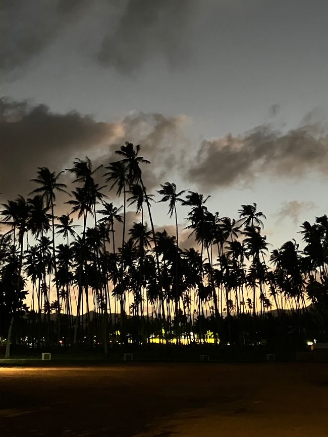 D 20 - 7am Yoga, oceanfront bfast at LavaLava, more running and a nice swim in a pool all to myself 