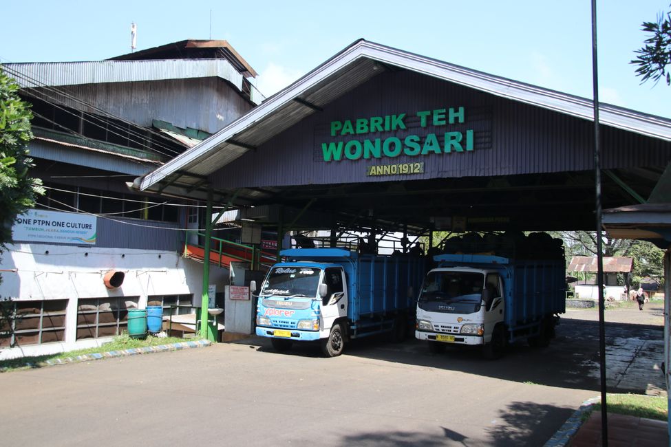 Tag 7 : Malang, thé et un volcan