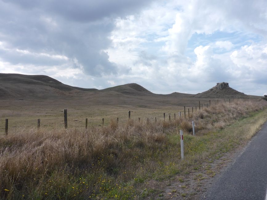 2025-03-29 Tongariro, Timber Trail und ...