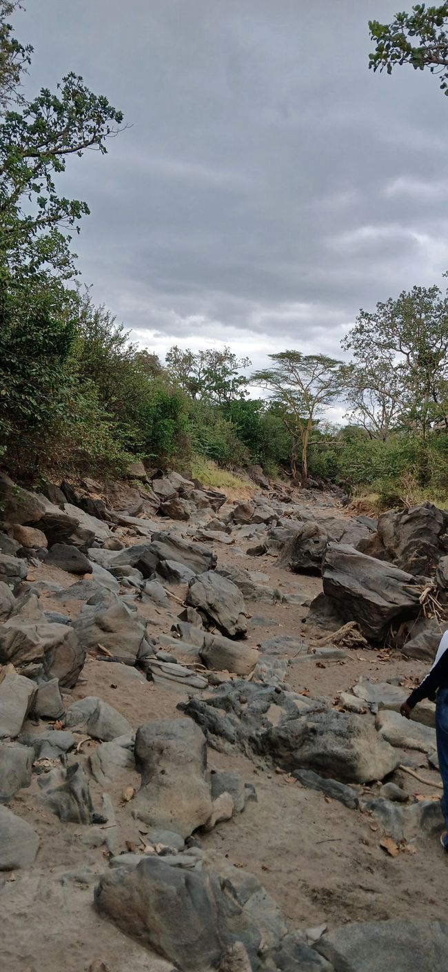 En la tierra de los Maasai