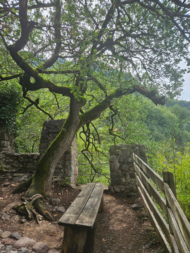 Castillo Runkelstein