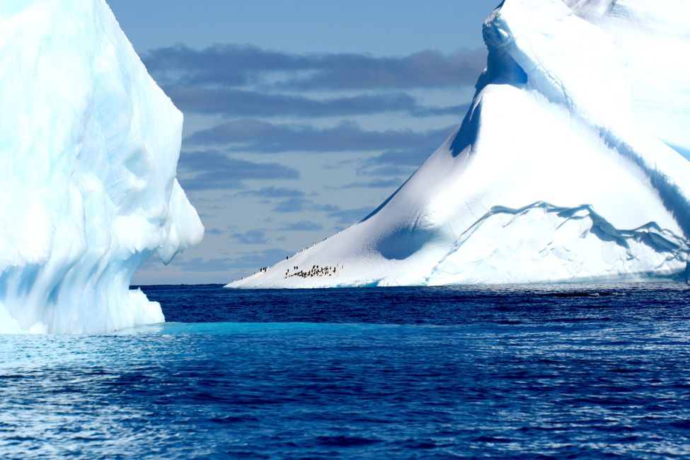 Un continent plein d'espoir, l'Antarctique