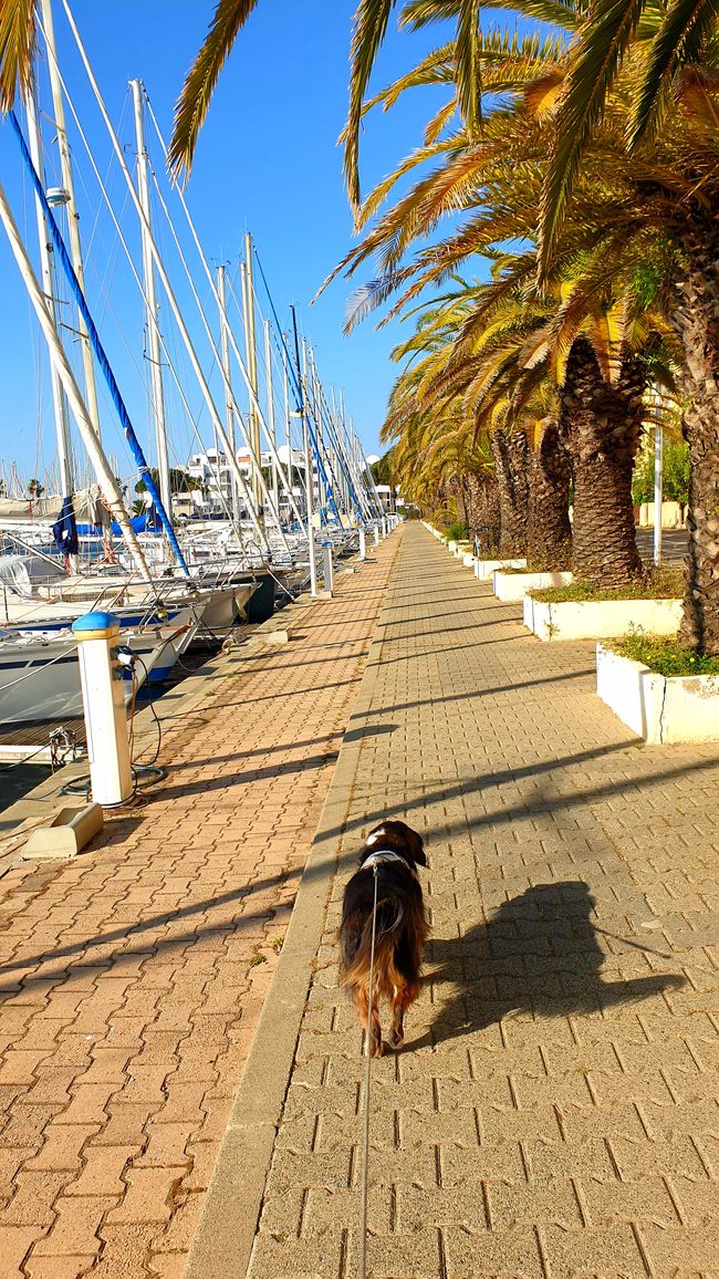 Byby Espagne...