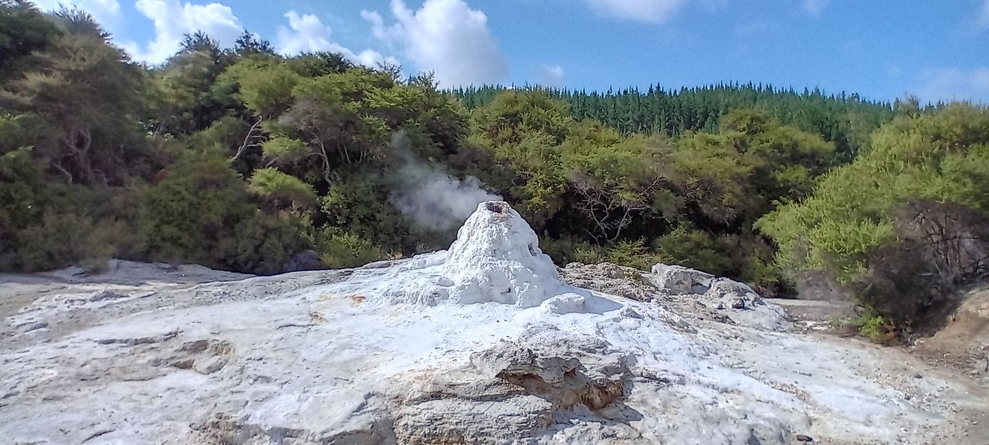 Wai-O-Tapu / Rotorua