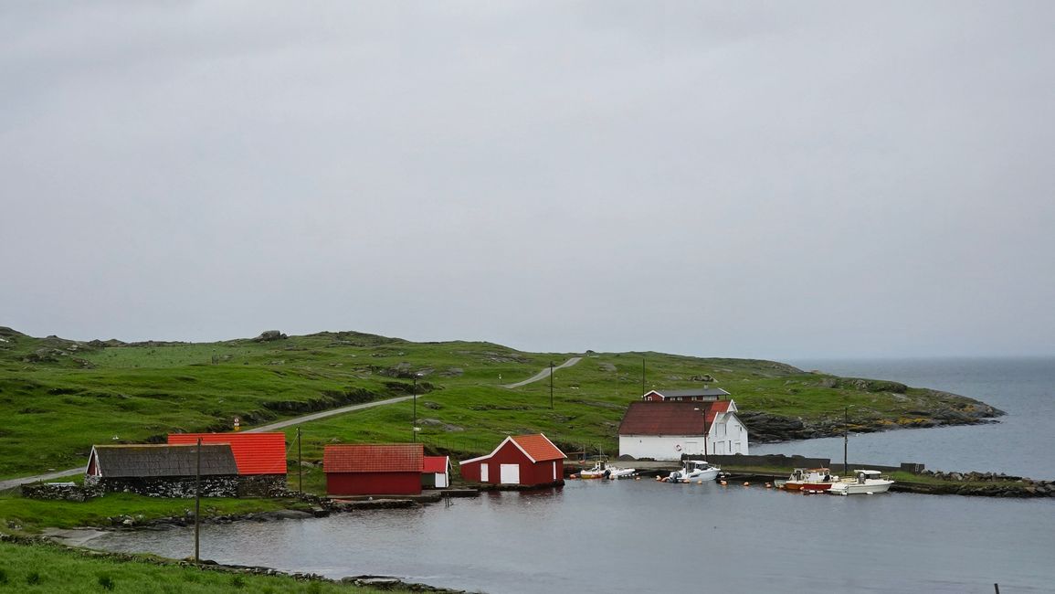 Isola Runde-Sud Norvegia
12 Giugno