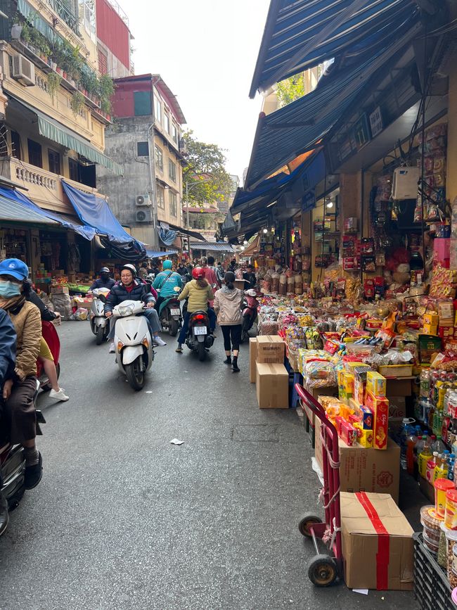 Hanoi-Tag 1: Kofferdrama, Stadtchaos und ein unermüdliches Einhorn