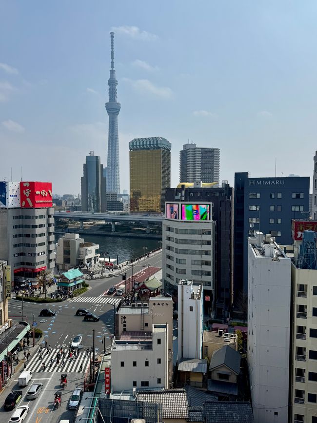 Parte 7
BENVENUTO IN GIAPPONE 🇯🇵
TOKYO